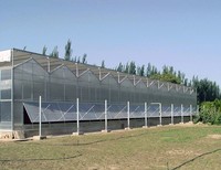FUMA FM-MFMS Commerciële Multi-span Venlo-type kas met polycarbonaat platen voor hydroponie