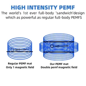 Pemf Mat từ bệnh thoái hóa khớp điều trị pemf thiết bị điều trị từ tính mat