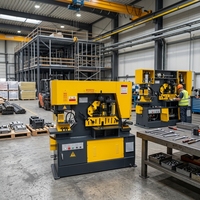 Machine hydraulique multifonctionnelle pour la découpe d'angles en acier, la cisaillement de profilés en acier et le poinçonnage de trous