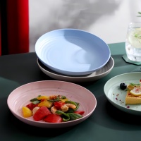 Ensemble de 8 assiettes colorées en PP sain, réutilisables, de taille moyenne, en plastique