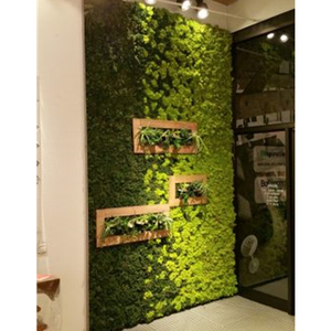 En gros artificielle <span class=keywords><strong>tourbe</strong></span> tapis <span class=keywords><strong>de</strong></span> <span class=keywords><strong>mousse</strong></span> panneau <span class=keywords><strong>de</strong></span> mur d'art, <span class=keywords><strong>mousse</strong></span> artificielle colorée pour la décoration - Product Image 2