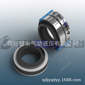 ซีลกันรั่วแบบโรตารี่ รุ่น AOT1F 025 โครงสร้างสปริงหลายชั้น สำหรับปั๊มน้ำ - Product Image 3