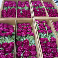 Fleur artificielle rouge rose au toucher réel, fleur de renoncule, arrangement de style moderne fait à la main - Douce, réaliste, parfumée, pour la Saint-Valentin