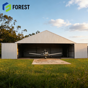 Hangar d'avion en structure acier galvanisé, prix usine standard, pour avions commerciaux, directement de l'usine - Product Image 1