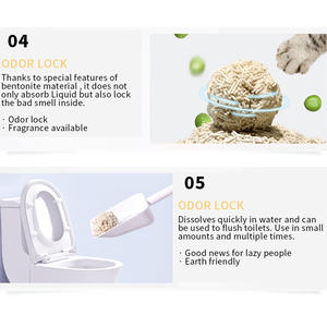 <span class=keywords><strong>Arena</strong></span> absorbente para gatos de tofu, <span class=keywords><strong>arena</strong></span> OEM de 10L, fábrica Premium, venta al por mayor, planta de carbón natural, <span class=keywords><strong>arena</strong></span> para gatos de tofu desechable - Product Image 3