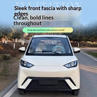 Nouveau véhicule électrique à basse vitesse modèle Seagull 2026 – Voiture électrique quatre roues à énergie nouvelle – Berline électrique haut de gamme pour la mobilité des personnes âgées