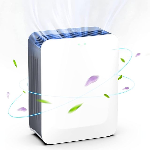 Household Air Purifier Hepa Filter Carbon Filter Wholesale Price Portable Air Purifier for Home
