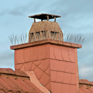 50-أجهزة طاردة للطيور من الفولاذ المقاوم للصدأ 60 مسمار رادع ، السناجب ، مزارع السناجب ، أسطح الطيور المسامير - Product Image 6