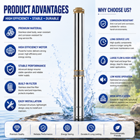 Pompe submersible électrique OEM SN en acier inoxydable pour puits profond, pompe de forage pour l'extraction d'eau de puits, usage agricole
