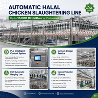 Solution clé en main industrielle pour ligne de traitement d'abattage de volailles 3000BPH, usine d'abattage de volailles entièrement automatique avec système de refroidissement