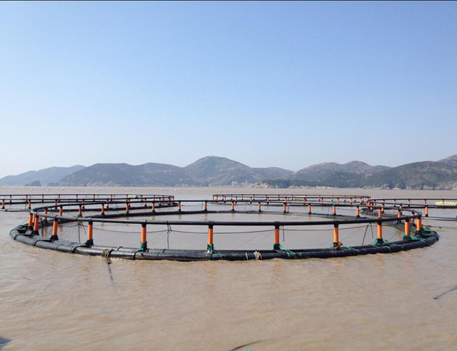 HDPE Fish Cage Floating with Cage Nets for Fish Farm