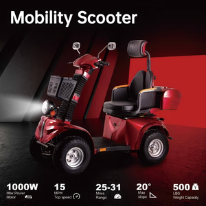 Scooter tout-terrain intelligent à pneus larges DJ2D, 500W, 60V, batterie au plomb 20AH, conception robuste, supporte jusqu'à 600 lbs - Product Image 1