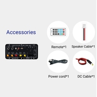 Amplificateur Mono D10 pour la Maison avec Sortie 5.0 30-120W Radio FM USB TF/SD Double Micro Télécommande Contrôle des Basses