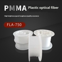 Source de lumière LED à point d'extrémité de fibre optique en plastique PMMA de 0.75mm avec guide de lumière lumineuse arrière