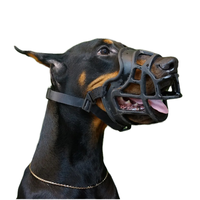 Muselière en plastique pour chien avec boucle à dégagement rapide, couvre-mâchoire, style classique uni et coloré pour chiens de petite, moyenne et grande taille