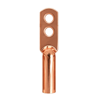 Terminales de Conexión de Cobre de Doble Orificio Yaogu DTG T2, Forjados, Recubiertos de Estaño, Dorados, para Cable de Alta Corriente 0.6/1kV