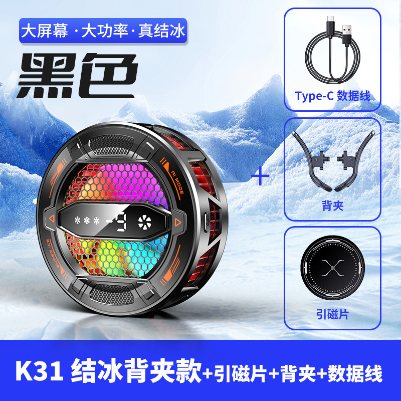 B31 Black Clip
