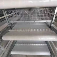 Cage automatique pour poules pondeuses industrielle à bas prix grand poulailler Atype poulailler pour poules pondeuses