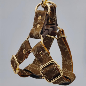 犬の首輪防水犬の首輪デザイナーペット犬のハーネス鎖と首輪 - Product Image 6