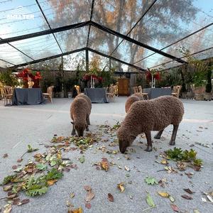 20 Metre Büyük Açık Hava Şeffaf Çadır Parti Çadırı Güzel Düğün Etkinlikleri İçin - Product Image 1