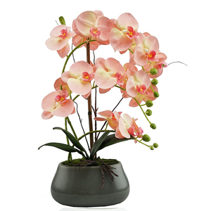 Fiori di orchidea di seta di plastica <span class=keywords><strong>in</strong></span> <span class=keywords><strong>vaso</strong></span> di ceramica Bonsai artificiali orchidea bianca <span class=keywords><strong>orchidee</strong></span> <span class=keywords><strong>in</strong></span> <span class=keywords><strong>vaso</strong></span> finte alte - Product Image 4