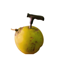 Couteau à noix de coco personnalisé en usine