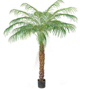 Palmier <span class=keywords><strong>Phoenix</strong></span> artificiel en fibre de verre 150-350 cm Écologique Durable Réaliste Décoration intérieure extérieure Jardin Bureau - Product Image 4