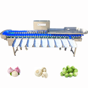 Machine de tri et de pesage automatique pour concombres et piments / Trieur de poids pour légumes, tomates et pommes de terre en SUS304 - Product Image 4