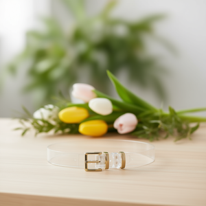 Cintura Trasparente 2.3Cm con Fibbia in Metallo per Donna, Accessorio di Moda - Product Image 2