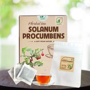 Premium Solanum Procumbens Herbal <b>Tea</b> for Liver Disease Support Raw Dried 2G Pack NMPT Brand From Phu Tho Vietnam - Product Image 6