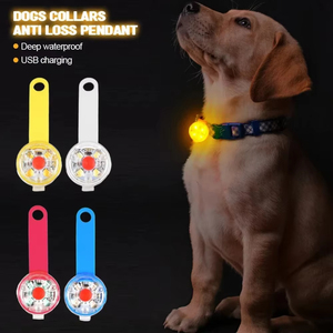 Collar Luminoso para Mascotas de Alta Visibilidad, Resistente al Agua, con Luz Nocturna, Carga USB, Colgante Luminoso para Pasear Perros - Product Image 4