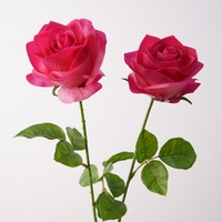 Roses Françaises Réalistes Bourgogne à Tiges Pliables pour Bouquet de Mariée, Arche de Mariage et Composition Florale de Fête