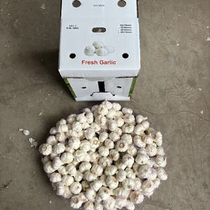<span class=keywords><strong>Ail</strong></span> chinois personnalisé <span class=keywords><strong>ail</strong></span> blanc pur pour la vente marché <span class=keywords><strong>sud</strong></span>-africain 5.5cm - Product Image 1