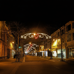 ไฟประดับเทศกาลฮาโลวีนแบบกันน้ำ IP65 สำหรับตกแต่งถนน สวนสาธารณะ และลานในเมือง - Product Image 1