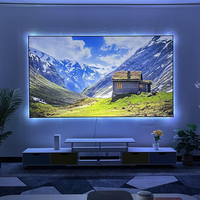 Écran de projection mural ALR Nano gris PVC 250'' avec cadre fixe à bordure ultra-fine de 1 cm, angle de vision de 179°, gain de 0,9, compatible 4K/8K/3D