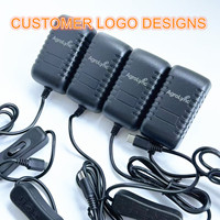 Adaptor Daya USB Type C 5V 3A ABS dengan Saklar ON/OFF dan Kabel 1m untuk Raspberry Pi 4 PC, Logo Dapat Disesuaikan