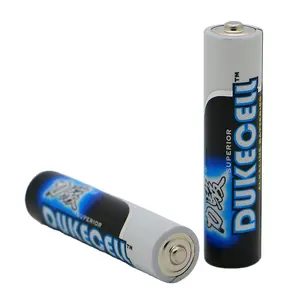 OEM Dukecell r03 AAA um3 Dry Cell Battery Alkaline Battery for Kids Electric toy Car