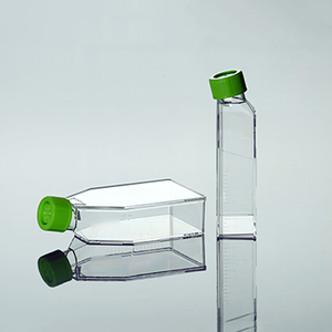 <span class=keywords><strong>Laboratorio</strong></span> <span class=keywords><strong>de</strong></span> alta calidad <span class=keywords><strong>de</strong></span> plástico matraz <span class=keywords><strong>de</strong></span> <span class=keywords><strong>erlenmeyer</strong></span> con tapas - Product Image 6