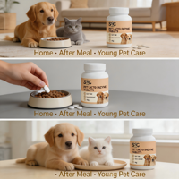 Comprimés enzymatiques d'acides lactiques SYC pour animaux de compagnie, 40g, soutien digestif intestinal avec vitamine B et levure pour chats et chiens, vente en gros, OEM