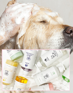 Produits de toilettage pour animaux de compagnie <span class=keywords><strong>shampoing</strong></span> nourrissant pour chiens et chiots à peau sèche et sensible - Product Image 2