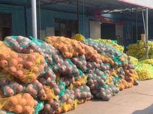 2025 gros haute flottabilité jaune EVA <span class=keywords><strong>mousse</strong></span> filet de pêche flotteur en gros en plastique ovale bouée à motifs pour l'utilisation de la rivière - Product Image 3