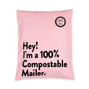 Sacs de courrier naturels biodégradables, sacs de livraison, en plastique, emballage de courrier, de couleur chair, Matte, 100 unités