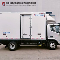 Рефрижератор FOTON HOWO Shacman 18 куб.м. для перевозки замороженных продуктов и мороженого, электрический грузовой фургон