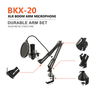 Équipement de studio OEM pour l'enregistrement de musique professionnelle Production musicale Microphone suspendu pour salle KTV filaire en métal noir