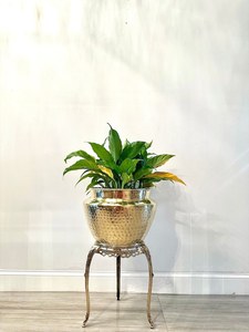 Supports de jardinières créatifs en fer doré classique, design floral, revêtement poudré, logo personnalisé J N Crafts, pour extérieur, <span class=keywords><strong>balcon</strong></span>, intérieur, maison - Product Image 4