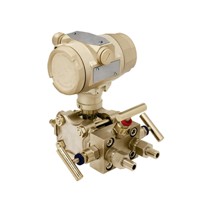 Transmisor de Presión a Prueba de Explosiones GAMICOS GPT253, Protocolo HART de 4~20 mA, para Líquidos, Gases y Vapor - Product Image 6