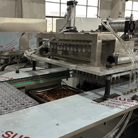 Nouvelle machine de moulage de chocolat entièrement automatique YUCHO à une seule opération, remplissage lait/noix, acier inoxydable 304, alimentation par prise, garantie 1 an