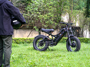 Bicicleta Eléctrica de Venta Caliente, 250W, Bicicleta Eléctrica con Llantas Gruesas, Acero con Alto Contenido de Carbono, Bici Elettrica, E-Bike de 26 Pulgadas para Adultos - Product Image 4