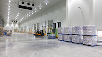 Chambre froide et congélateur de petite, moyenne et grande taille, à faible bruit, avec compresseur Copeland, dimensions personnalisables pour le stockage commercial d'aliments surgelés