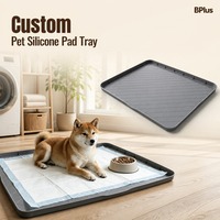 BPlus Présentoir de fin de série pour animaux de compagnie, avec plateau de présentation, pochette de transport et design assorti aux tons, prêt à l'emploi en magasin